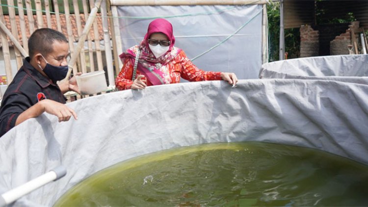 DPRD Jabar Akan Kawal Pengajuan bagi Peternak Ikan Agar Terealisasi