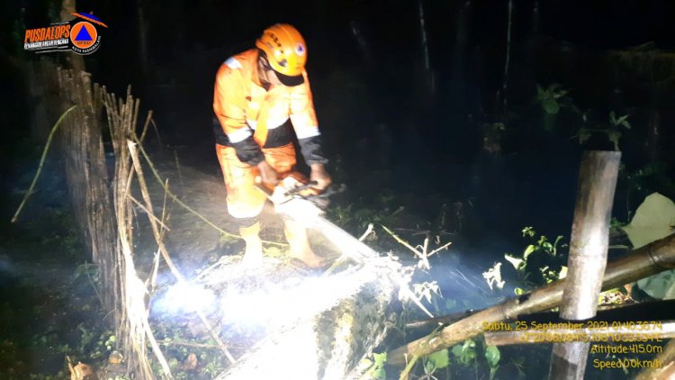 Hujan Deras Disertai Angin Akibatkan Pohon Tumbang Timpa Rumah Warga