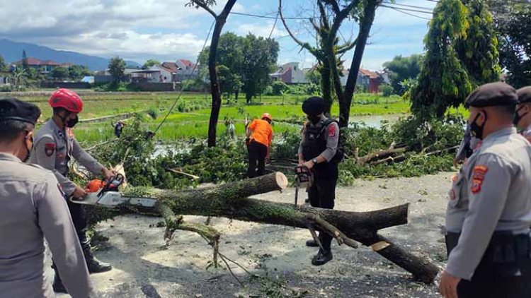 Sat Samapta Polres Tasik Kota dan BNPB Evakuasi Pohon Tumbang