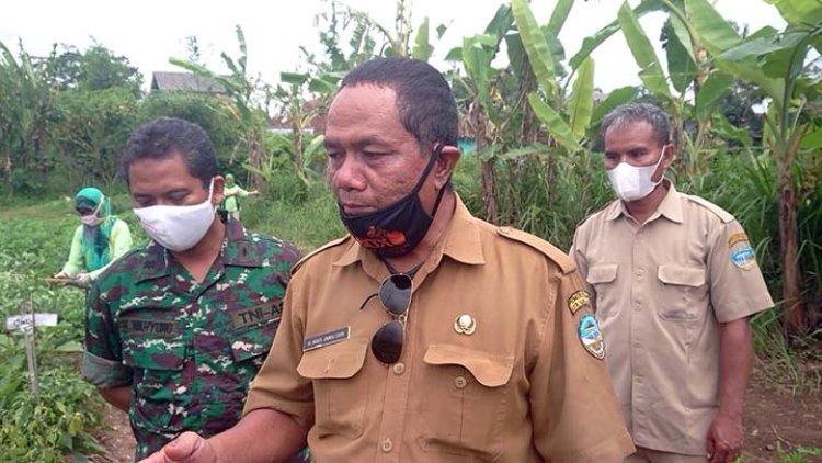 Manfaatkan Lahan Kosong, KWT Hijau Muda Garap Perkebunan Sayur