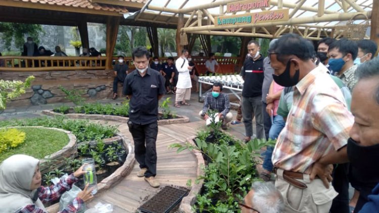 Bekali Anggota Koperasi Melalui Pelatihan Urban Farming
