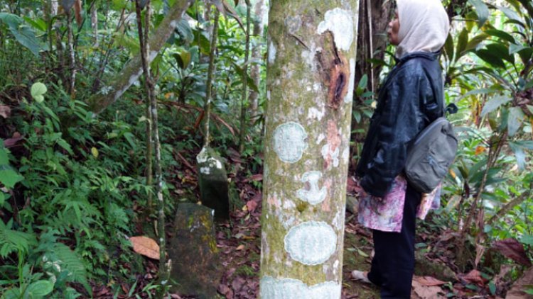 Histori Makam Sanghiyang Banua Sakti Ciamis