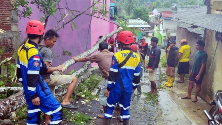 Belasan Rumah Warga di Sukaraja Rusak Tertimpa Pohon Tumbang