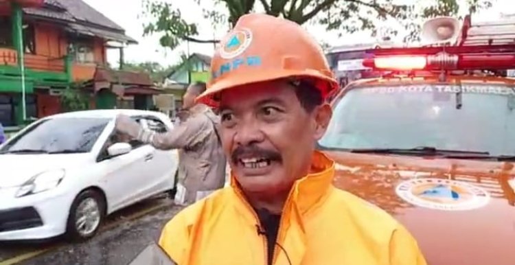 Lagi-lagi, Pepohonan di Jalur Jalan Nasional Tumbang