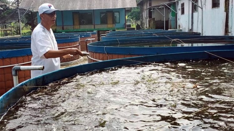 Ada di Kota Tasik! Pesantren ini Bekali Santrinya Ilmu Budidaya Ikan dengan Sistem Bioflog