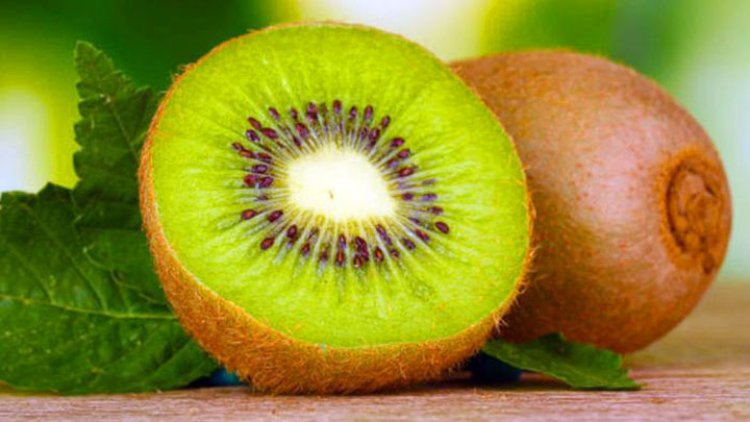 Ragam Manfaat, Buah Kiwi Juga Baik untuk Pencernaan