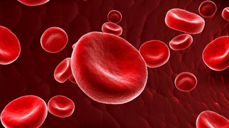 5 Penyebab Anemia yang Wajib Diketahui