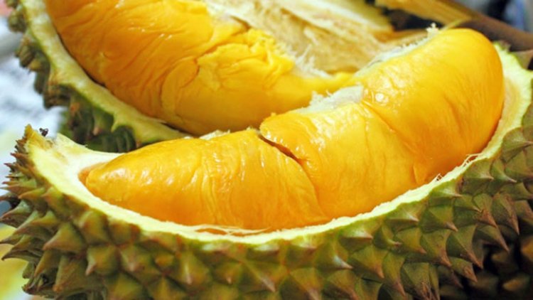Durian Diyakini dapat Meningkatkan Gairah Seksual