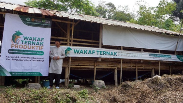 Wakaf Ternak Produktif Dorong Perekonomian Pesantren