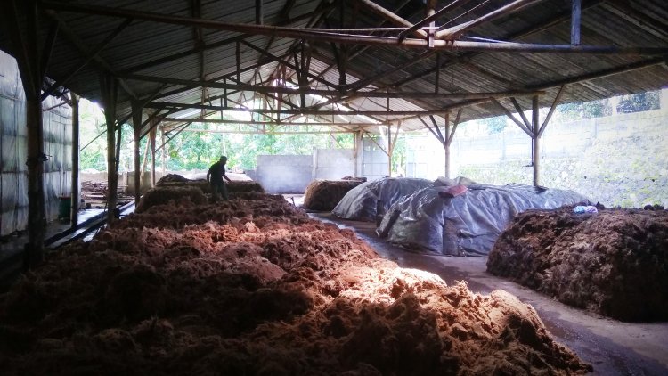 Produksi Jamur Merang ala Ponpes Raudlatul Irfan Menjanjikan