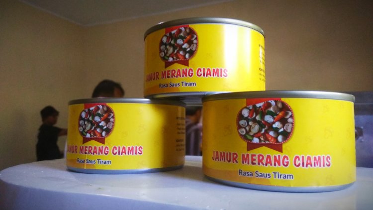 Produksi Jamur Merang ala Ponpes Raudlatul Irfan Menjanjikan