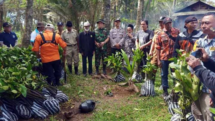 Kodim Tasikmalaya Tanam Pohon Mangrove Secara Serentak