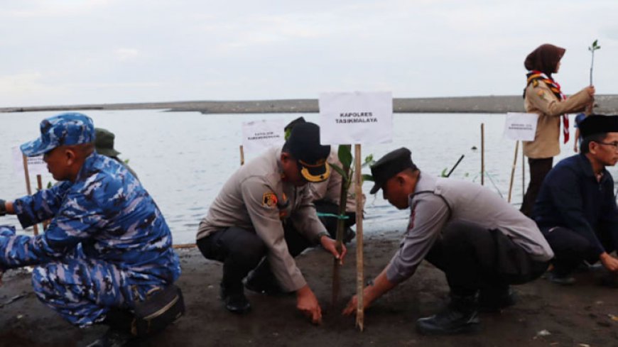 Cegah Abrasi, Pesisir Pantai Cidadap Karangnunggal Ditanami Mangrove