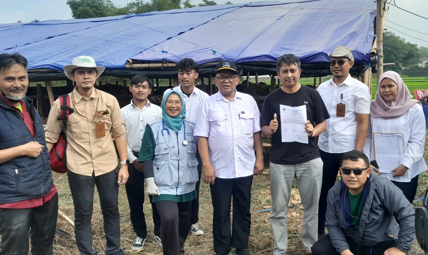 Jelang Idul Adha, DKP3 Kota Tasik Datangi Lapak Pedagang Sapi
