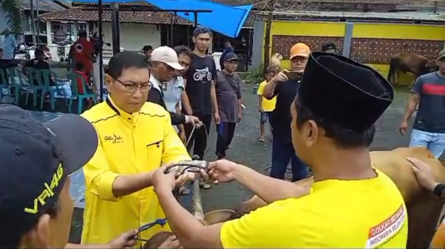 Bentuk Keta'atan, Golkar Kota Tasik Rutin Sembelih Hewan Kurban