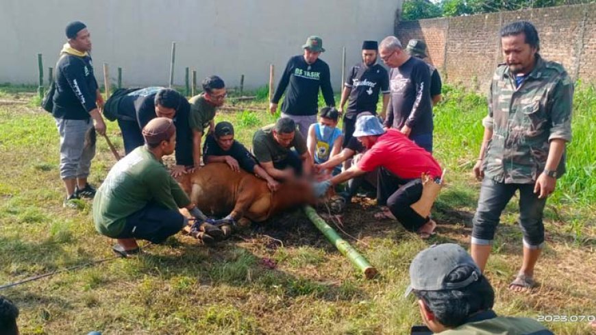 Bikers Subuhan Tasikmalaya Kurban Sapi