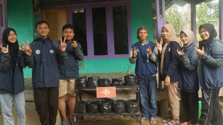 TOGA (Tanaman Obat Keluarga) Mahasiswa KKN UMTAS Menanam Jahe Merah