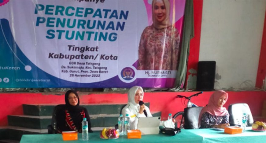 Nurhayati Effendi Berikan 12 Tips Cegah Stunting 