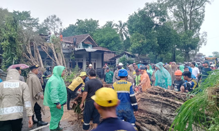 Pohon Mahoni di Jalan Mangunreja Salawu Tumbang Tutupi Badan Jalan dan Timpa Satu Rumah Warga