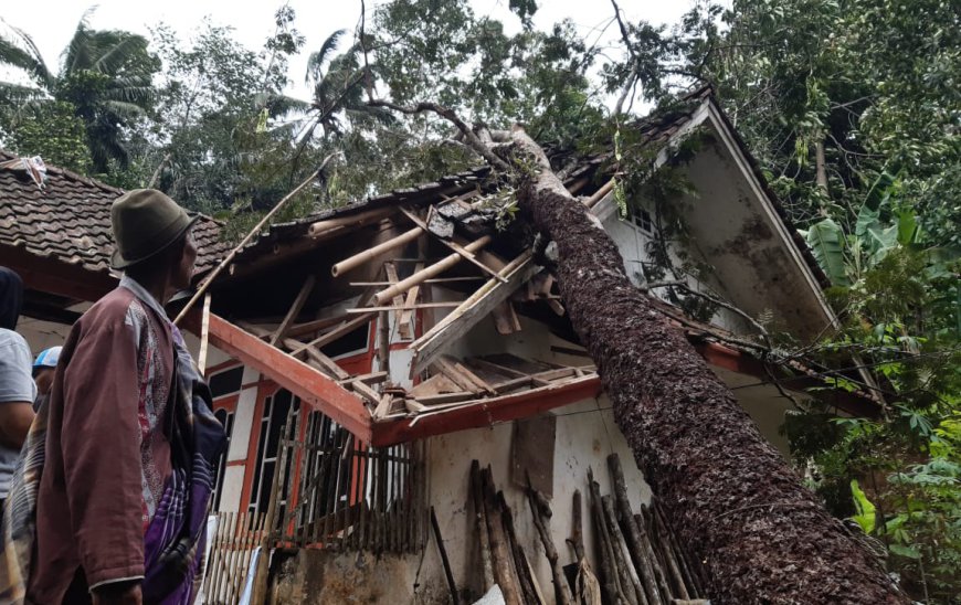 Sejumlah Rumah Warga Kab. Tasik Rusak Berat Tertimpa Pohon Tumbang
