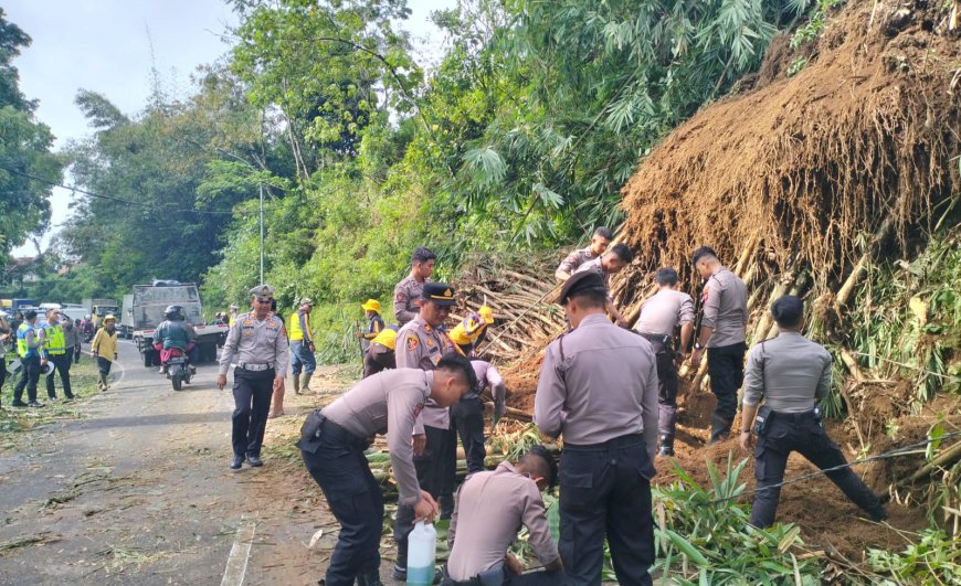 Pohon Bambu Setinggi 20 Meter Tumbang, Jalur Tasik Garut Sempat Lumpuh