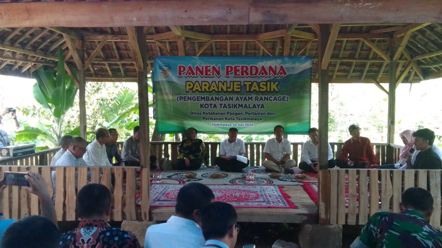 Panen Perdana Paranje Tasik, Owner RM Jembar Borong 250 Ekor Ayam Kampung