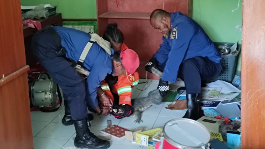 Guru dan Siswa Sekolah Nurul Hasanah Sariwangi Panik Diserang Biawak