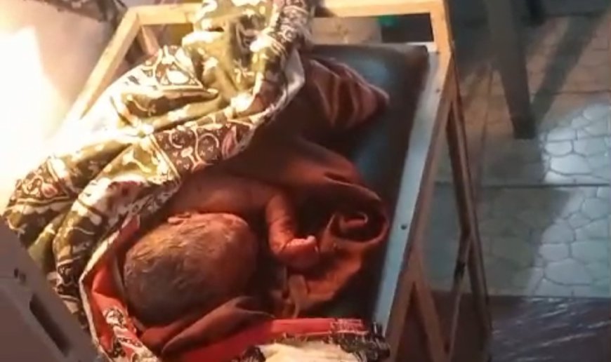 Warga Hahawuan Cipatujah Temukan Bayi Laki Laki Dikantung Plastik, Masih Berlumuran Darah