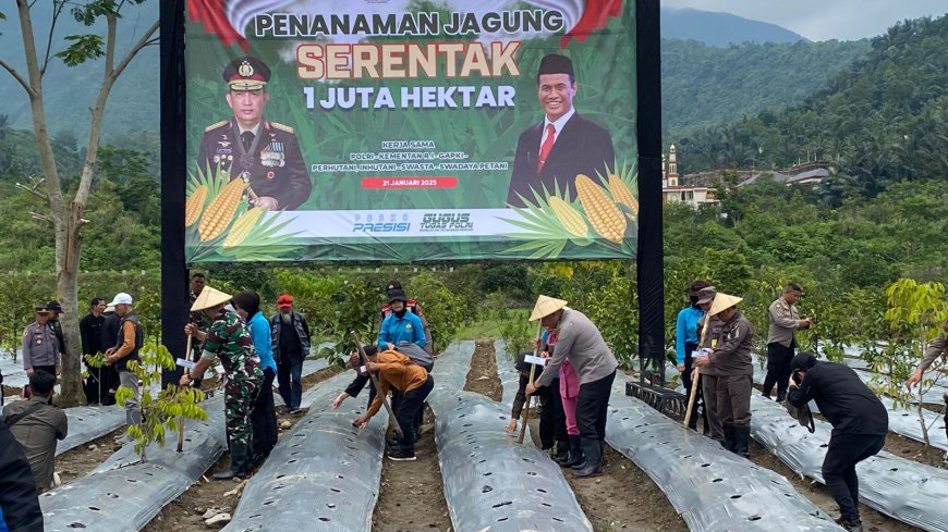 Dukung Ketahanan Pangan Nasional, 34 Hektare Lahan Kering di Tasikmalaya Ditanami Jagung