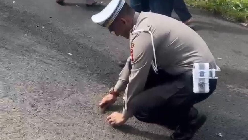 Polisi dan Warga Ramai Ramai Pungut Ratusan Ikan di Jalan Raya Tasikmalaya