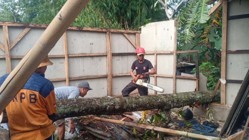 Cuaca Ekstrem Picu Pohon Tumbang di Singaparna Tasikmalaya, Satu Rumah Warga Rusak Berat