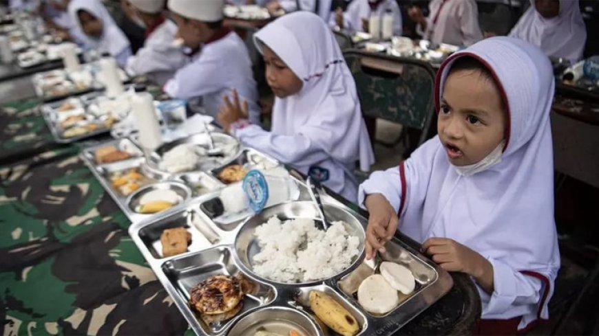Program Makan Bergizi Gratis Menuju Generasi Tangguh Bebas Stunting, Solusikah?