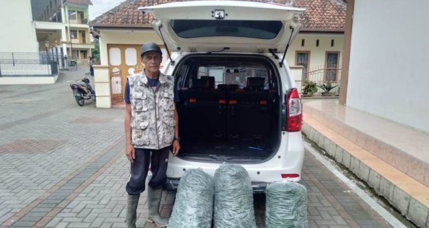 Dorong Program Ketahanan Pangan, H. Aslim Borong Cabai Hasil Petani Lokal