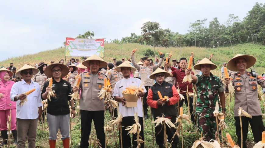 Panen Raya Jagung, Langkah Nyata Polres Tasikmalaya Dukung Ketahanan Pangan Nasional
