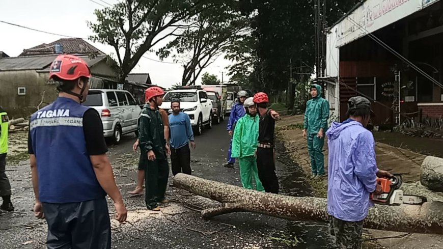 Angin Kencang Picu Pohon Tumbang di Sukaratu Tasikmalaya, Warga Diminta Waspada