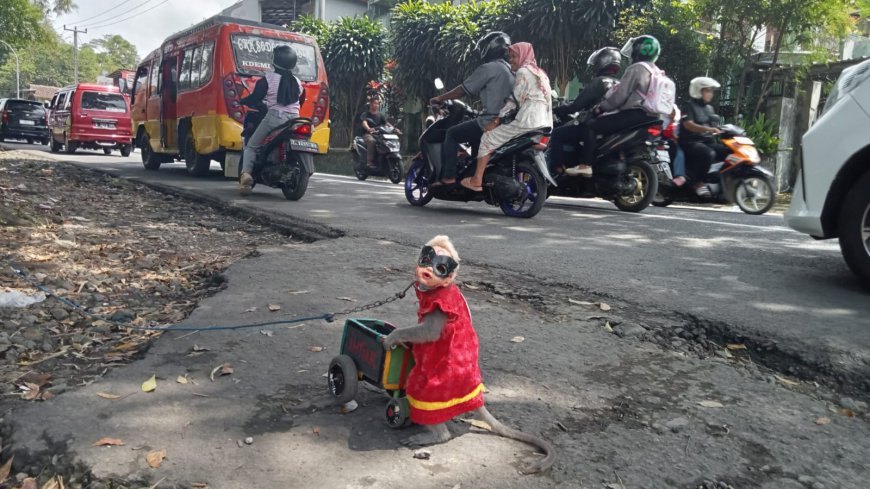 Hiburan Sederhana, Serli Mengais Rezeki Ditengah Kemacetan Kendaraan
