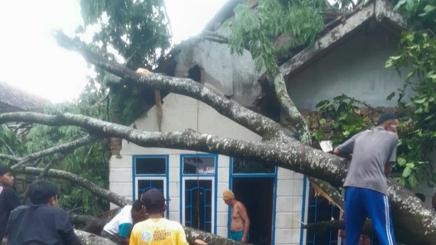 Dua Rumah Warga di Desa Puspamukti dan Jahiang Tasikmalaya Rusak Berat Tertimpa Pohon Tumbang 