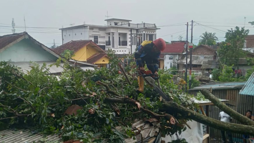Garasi Mobil Warga Singaparna Tasikmalaya Rusak Tertimpa Pohon Tumbang