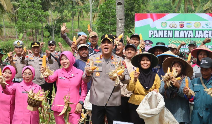 Dukung Swasembada Pangan Nasional, Polres Tasikmalaya Panen Raya Jagung di Cipatujah