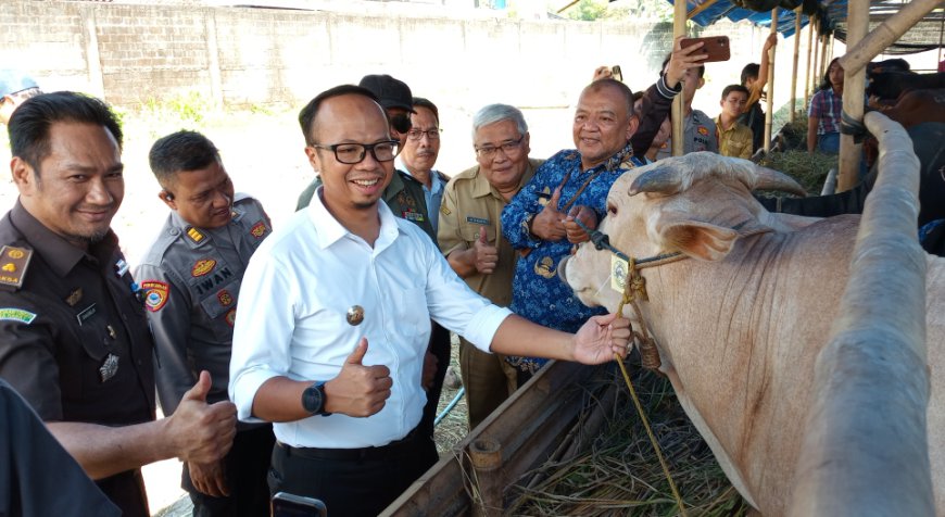 Jelang Idul Adha, Pemkot Tasikmalaya Periksa Kesehatan Hewan Kurban