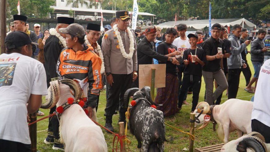 Dongkrak Harga Jual Domba dan Kambing, 700 Peternak di Tasikmalaya Ikuti Pesta Petok